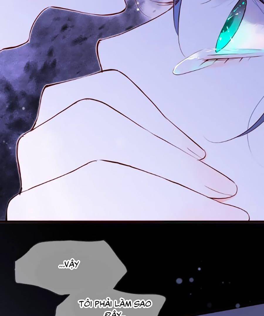 Hoa Bỏ Chạy Với Nhím Rồi Chapter 1.2 - 4