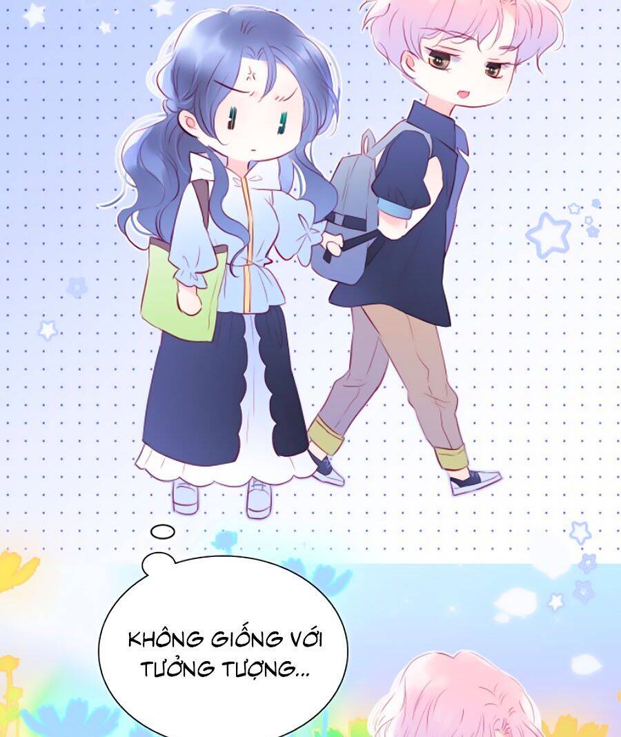 Hoa Bỏ Chạy Với Nhím Rồi Chapter 12 - 20