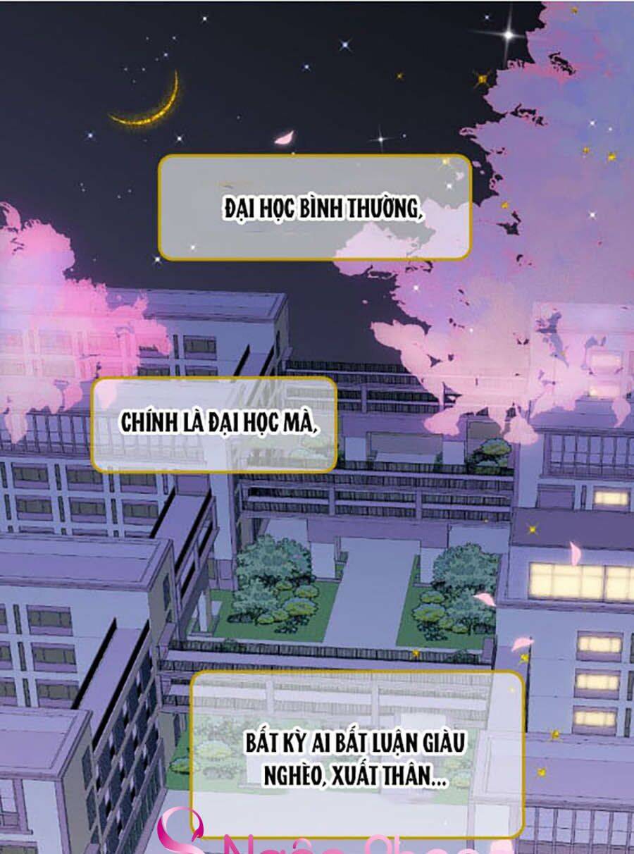 Hoa Bỏ Chạy Với Nhím Rồi Chapter 2 - 1