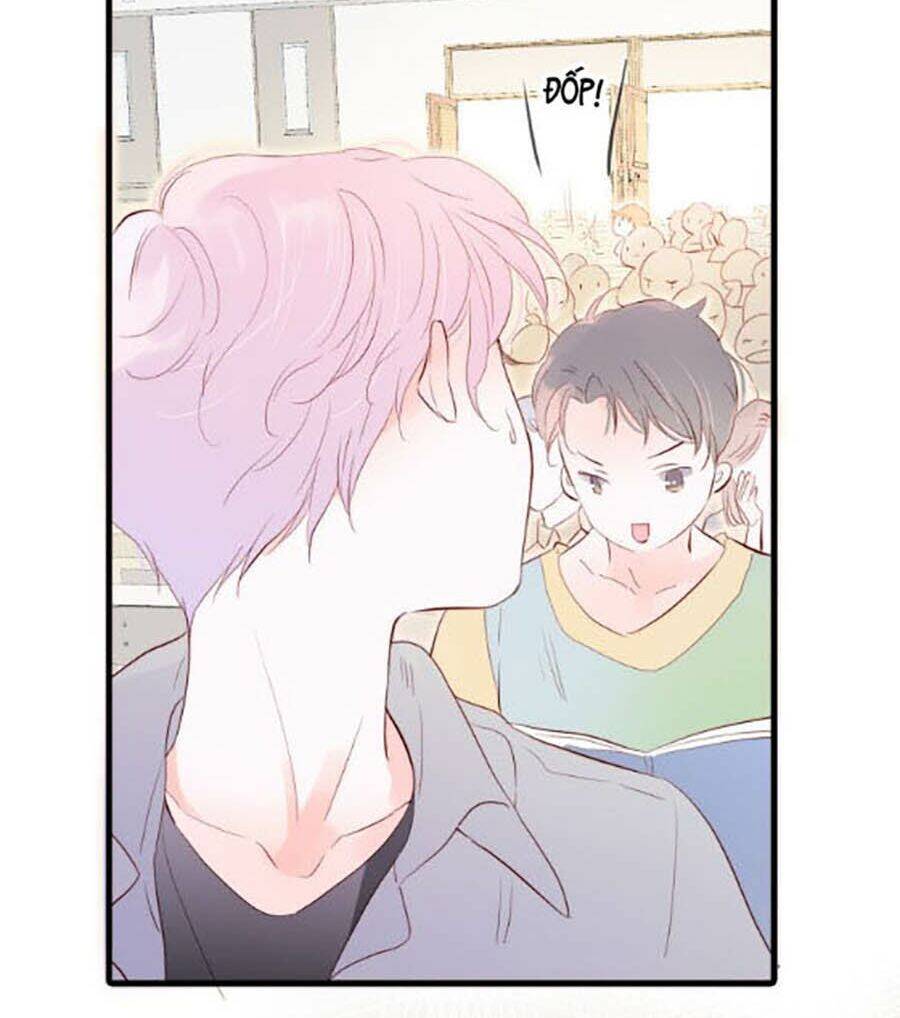 Hoa Bỏ Chạy Với Nhím Rồi Chapter 2 - 19