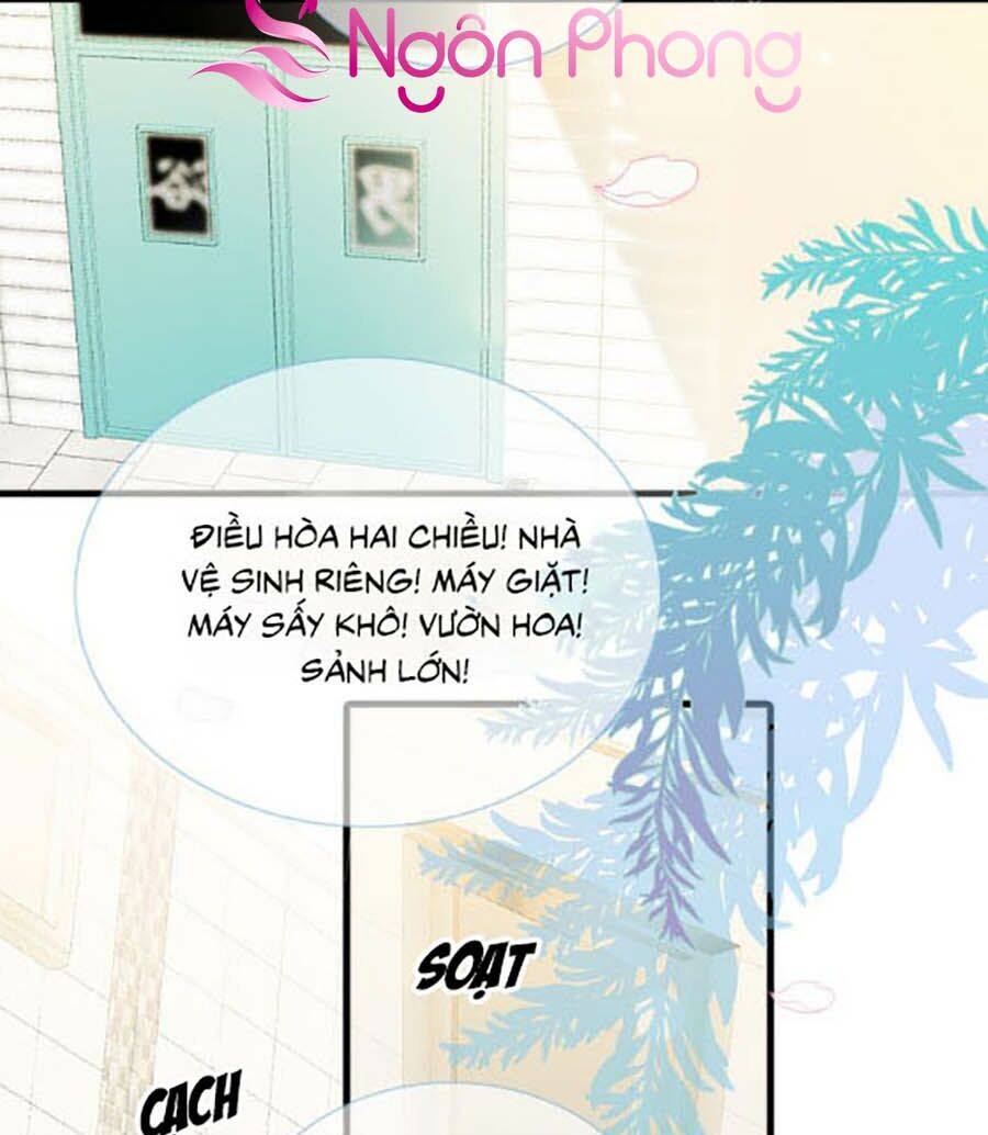 Hoa Bỏ Chạy Với Nhím Rồi Chapter 2 - 40