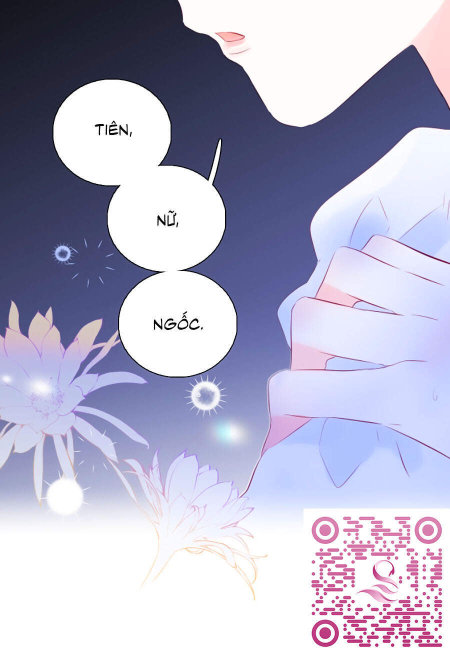 Hoa Bỏ Chạy Với Nhím Rồi Chapter 27 - 42