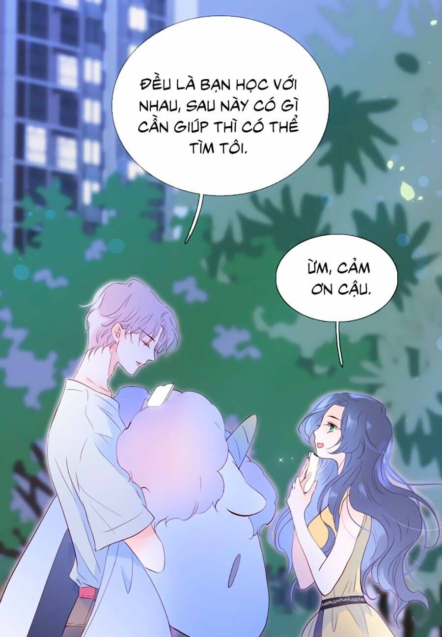 Hoa Bỏ Chạy Với Nhím Rồi Chapter 4 - 18