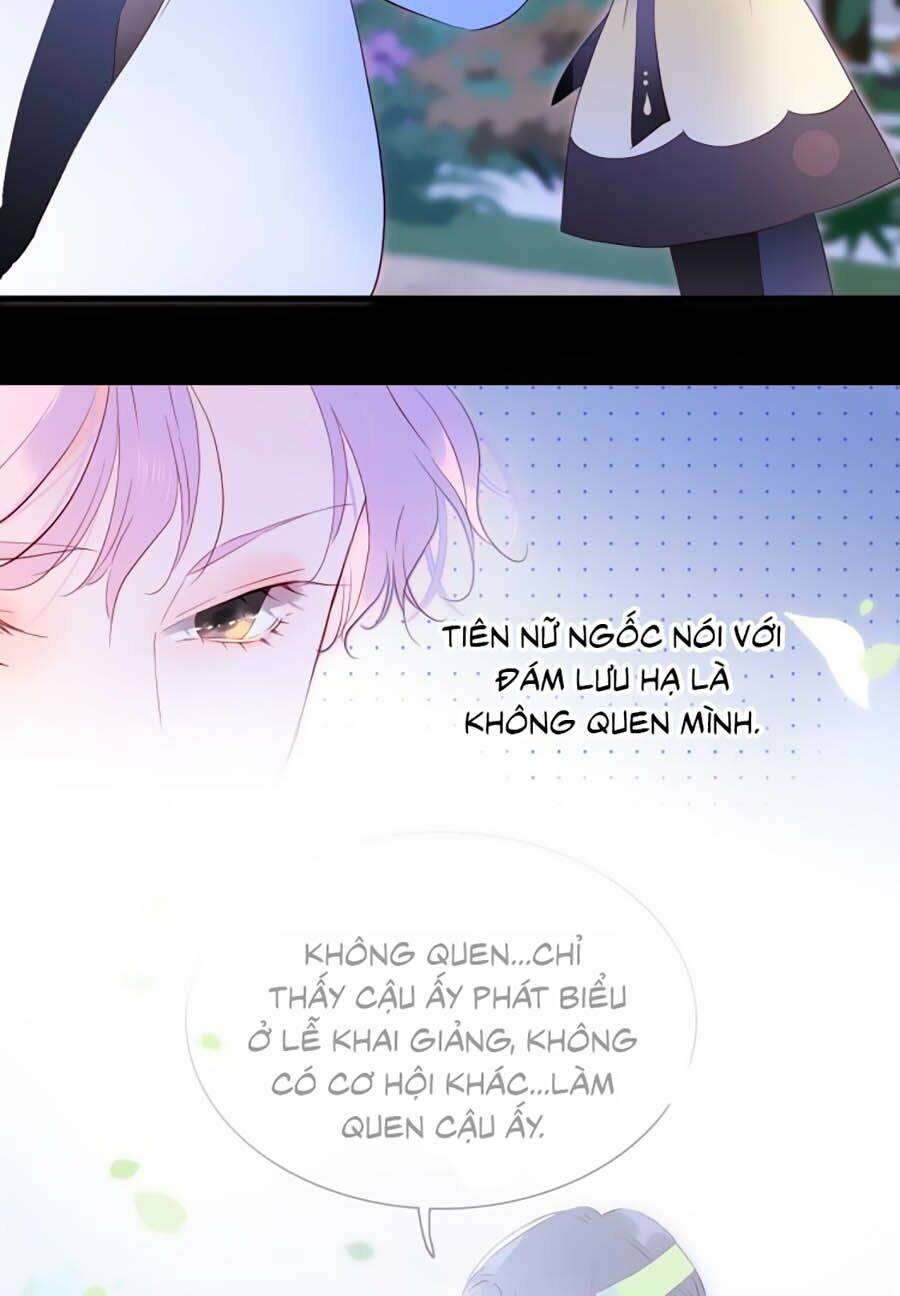 Hoa Bỏ Chạy Với Nhím Rồi Chapter 4 - 19