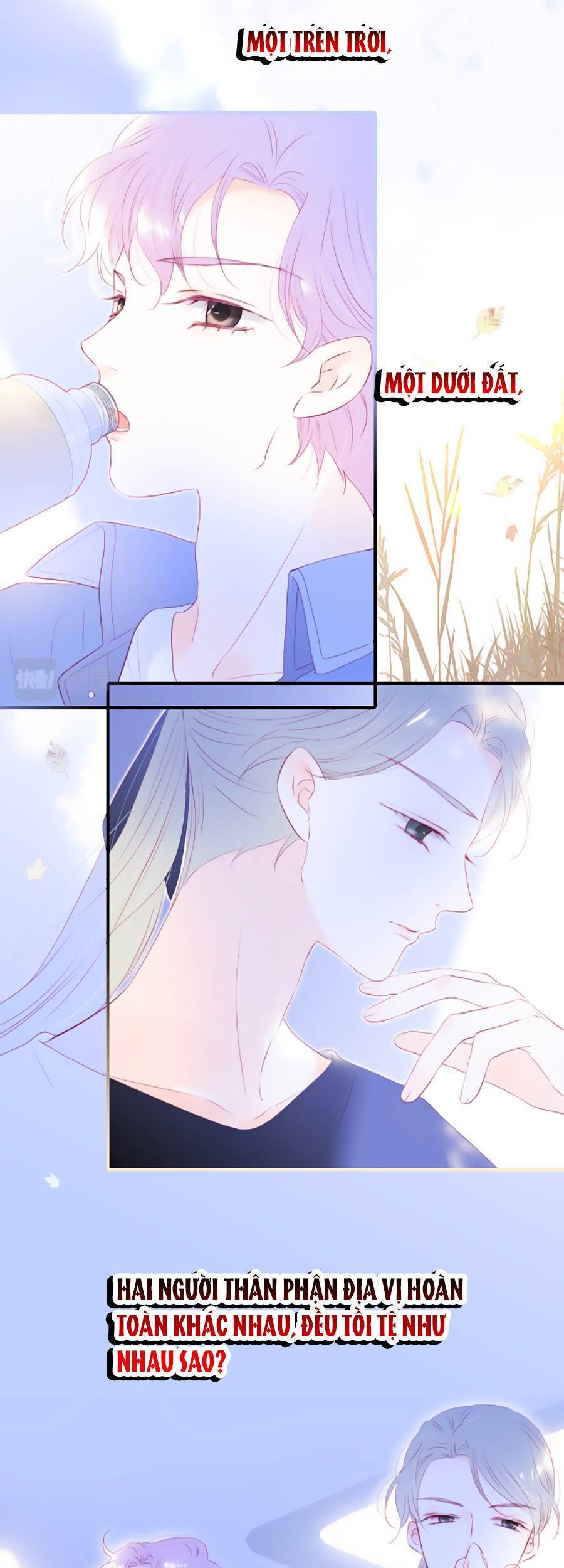 Hoa Bỏ Chạy Với Nhím Rồi Chapter 73 - 28
