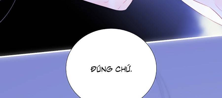 Hoa Bỏ Chạy Với Nhím Rồi Chapter 73 - 31