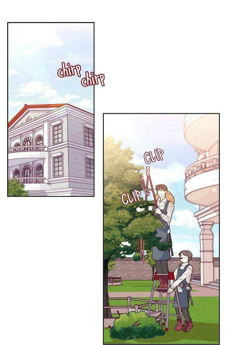 Tôi Chỉ Là Một Tiểu Thư Bình Thường Chapter 2 - 19