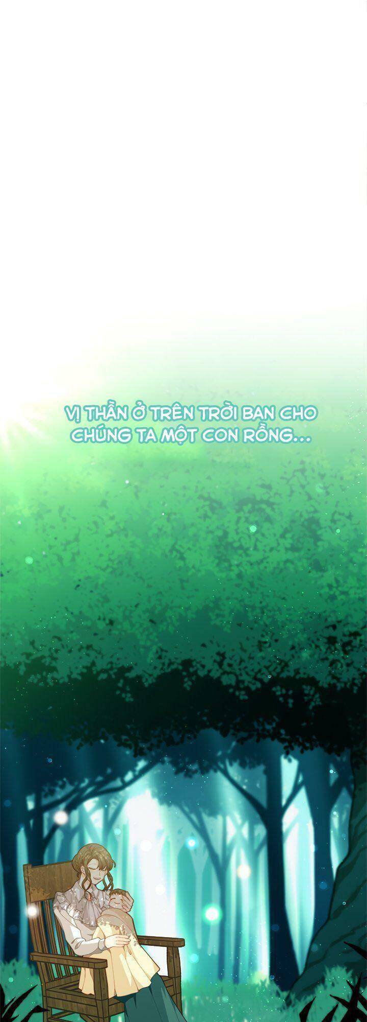 Tôi Chỉ Là Một Tiểu Thư Bình Thường Chapter 3 - 12
