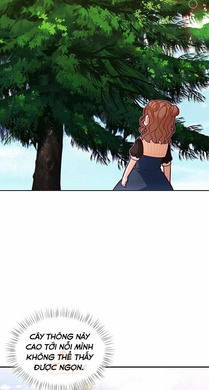 Tôi Chỉ Là Một Tiểu Thư Bình Thường Chapter 49 - 11