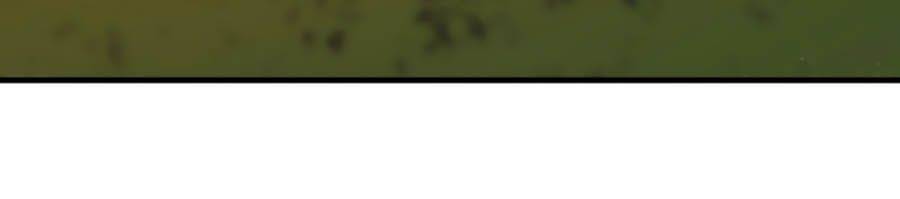 Ác Ma Thân Yêu Chapter 3.1 - 3