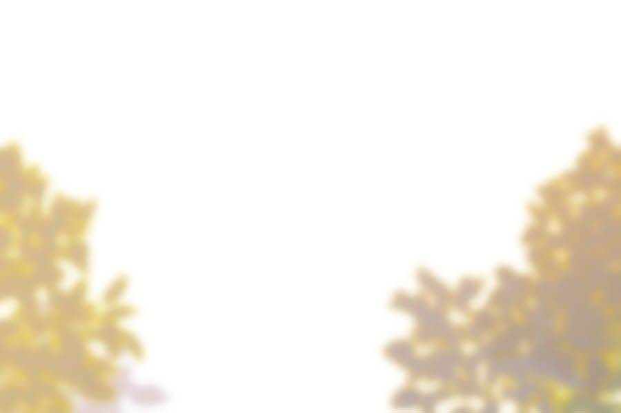 Ác Ma Thân Yêu Chapter 2.2 - 6