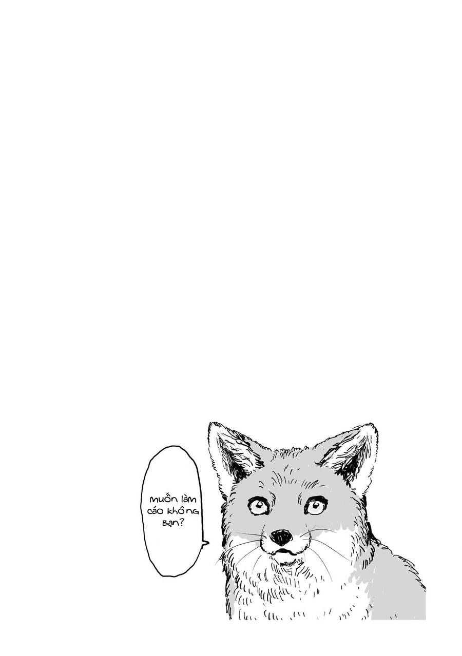 Này, có muốn làm Tanuki không? Chapter 4.5 - 4