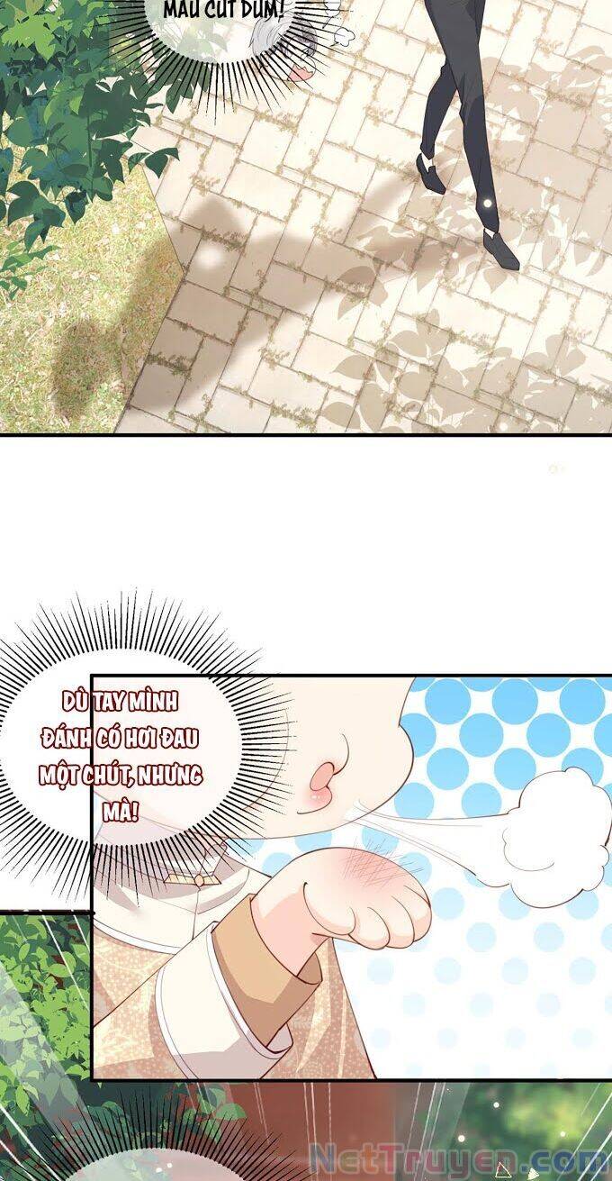 Lục Tổng, Vợ Ngài Lại Lên Top Tìm Kiếm Nữa Rồi! Chapter 10 - 25