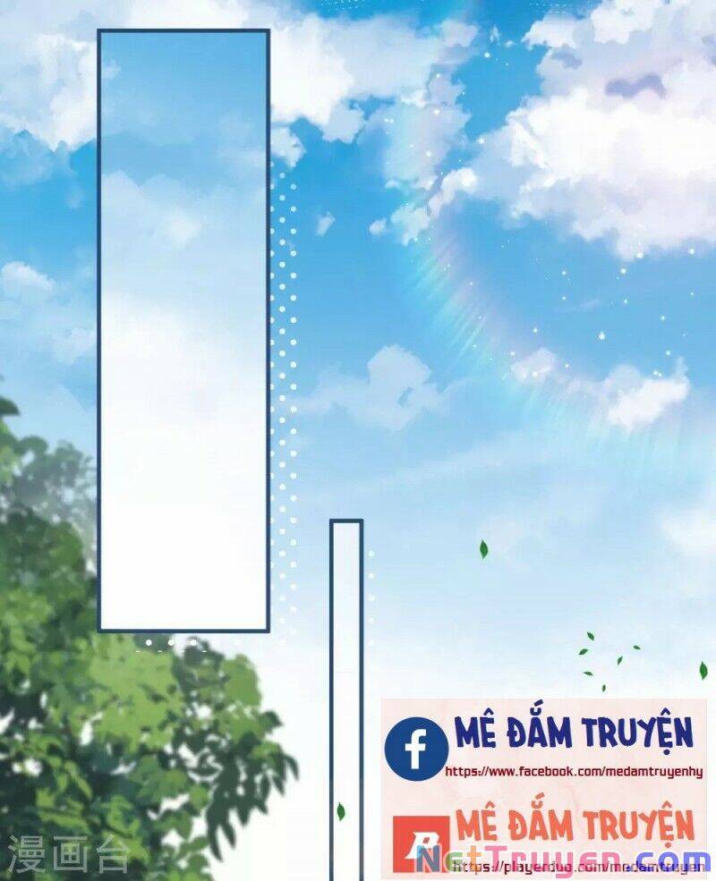 Lục Tổng, Vợ Ngài Lại Lên Top Tìm Kiếm Nữa Rồi! Chapter 16 - 19