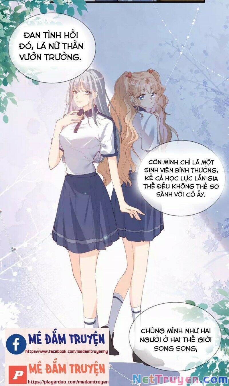 Lục Tổng, Vợ Ngài Lại Lên Top Tìm Kiếm Nữa Rồi! Chapter 16 - 25