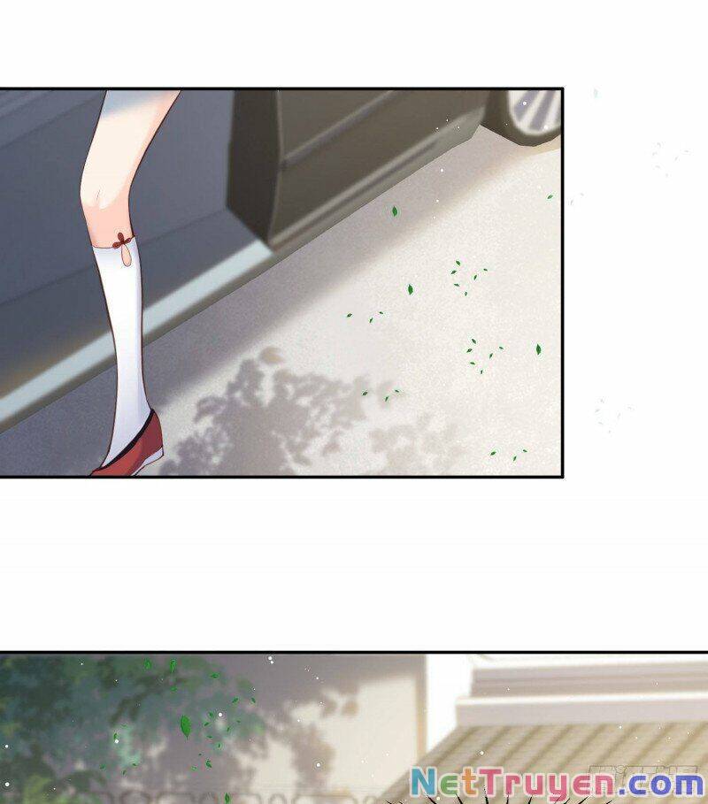 Lục Tổng, Vợ Ngài Lại Lên Top Tìm Kiếm Nữa Rồi! Chapter 28 - 25