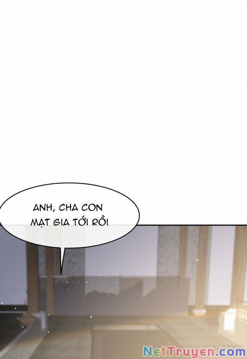 Lục Tổng, Vợ Ngài Lại Lên Top Tìm Kiếm Nữa Rồi! Chapter 28 - 28