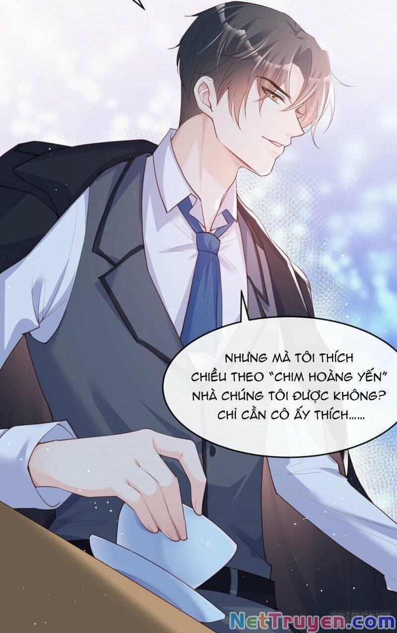 Lục Tổng, Vợ Ngài Lại Lên Top Tìm Kiếm Nữa Rồi! Chapter 28 - 37