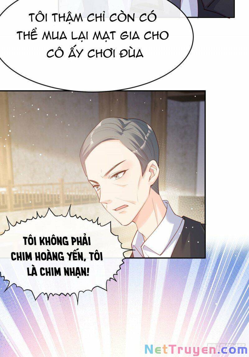 Lục Tổng, Vợ Ngài Lại Lên Top Tìm Kiếm Nữa Rồi! Chapter 28 - 39