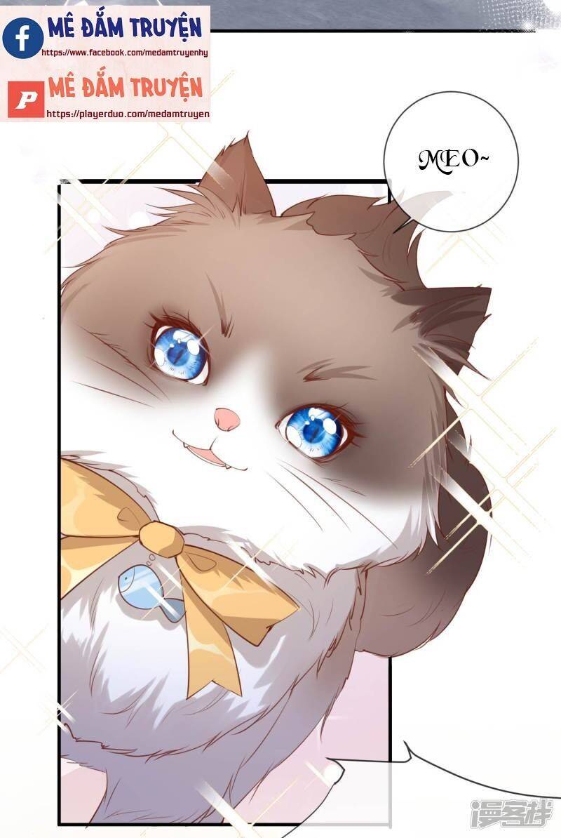 Lục Tổng, Vợ Ngài Lại Lên Top Tìm Kiếm Nữa Rồi! Chapter 3 - 23