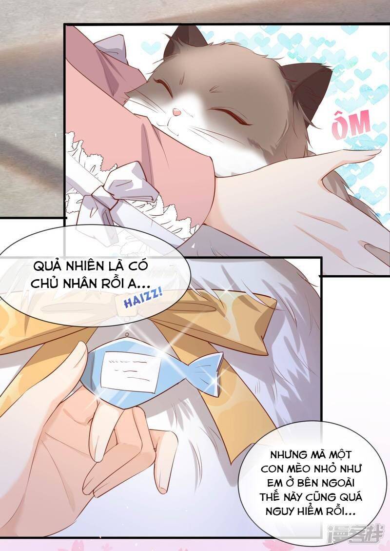 Lục Tổng, Vợ Ngài Lại Lên Top Tìm Kiếm Nữa Rồi! Chapter 3 - 26