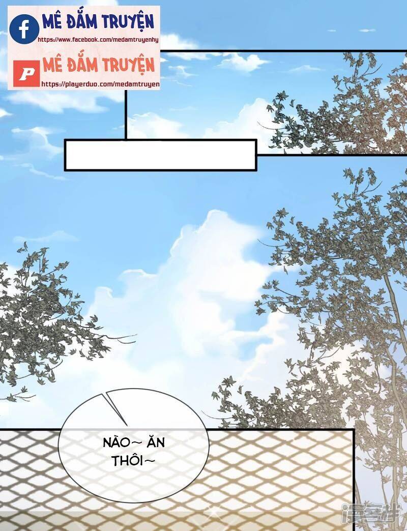 Lục Tổng, Vợ Ngài Lại Lên Top Tìm Kiếm Nữa Rồi! Chapter 3 - 28