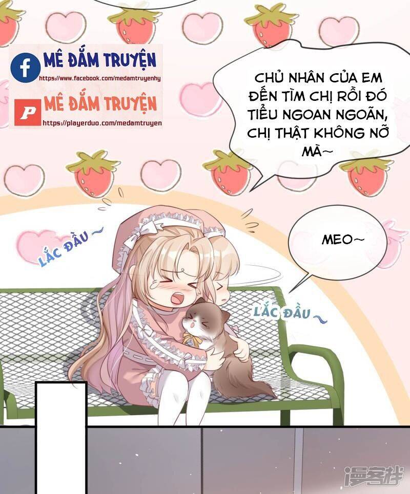 Lục Tổng, Vợ Ngài Lại Lên Top Tìm Kiếm Nữa Rồi! Chapter 3 - 33