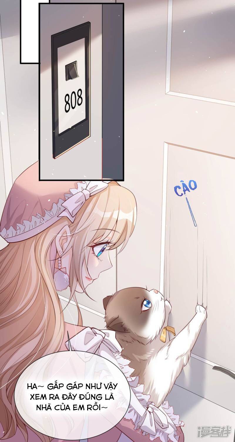 Lục Tổng, Vợ Ngài Lại Lên Top Tìm Kiếm Nữa Rồi! Chapter 3 - 34
