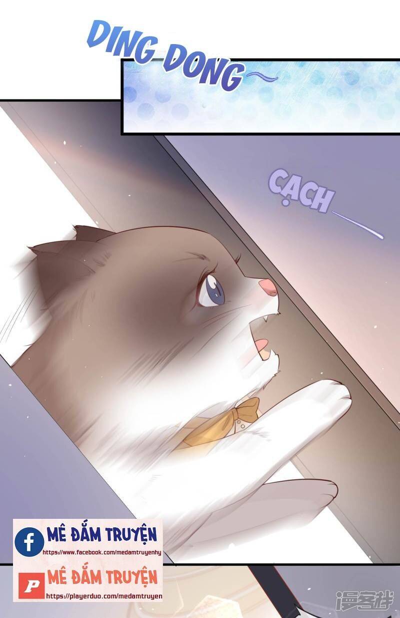 Lục Tổng, Vợ Ngài Lại Lên Top Tìm Kiếm Nữa Rồi! Chapter 3 - 35