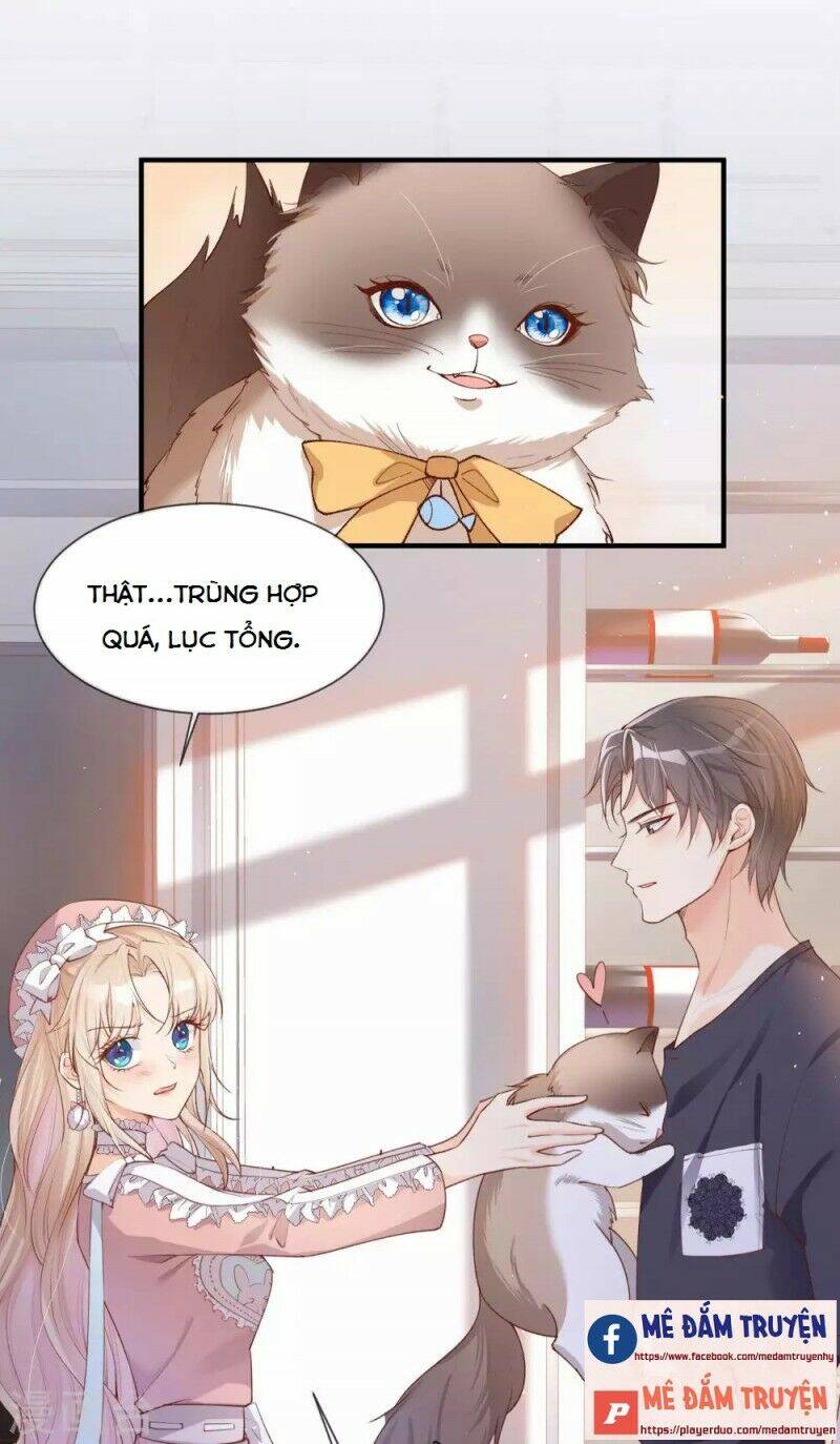 Lục Tổng, Vợ Ngài Lại Lên Top Tìm Kiếm Nữa Rồi! Chapter 4 - 2