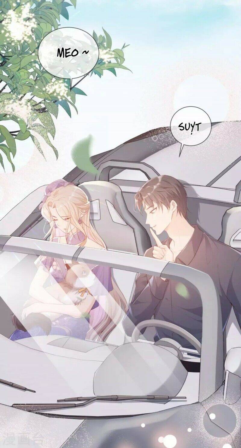 Lục Tổng, Vợ Ngài Lại Lên Top Tìm Kiếm Nữa Rồi! Chapter 4 - 22