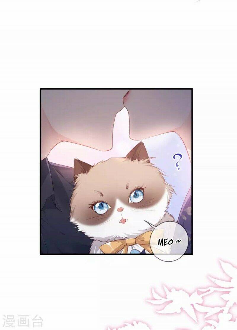 Lục Tổng, Vợ Ngài Lại Lên Top Tìm Kiếm Nữa Rồi! Chapter 4 - 24