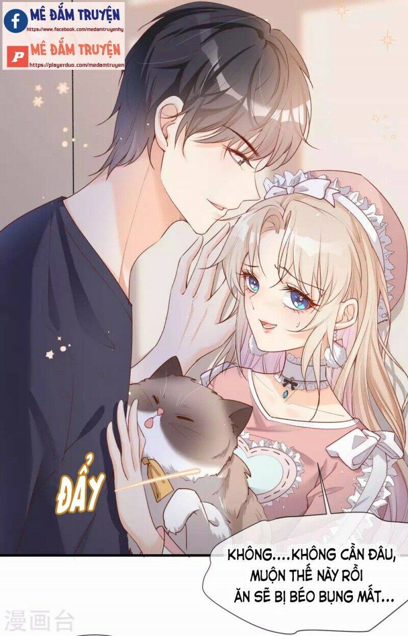 Lục Tổng, Vợ Ngài Lại Lên Top Tìm Kiếm Nữa Rồi! Chapter 4 - 4