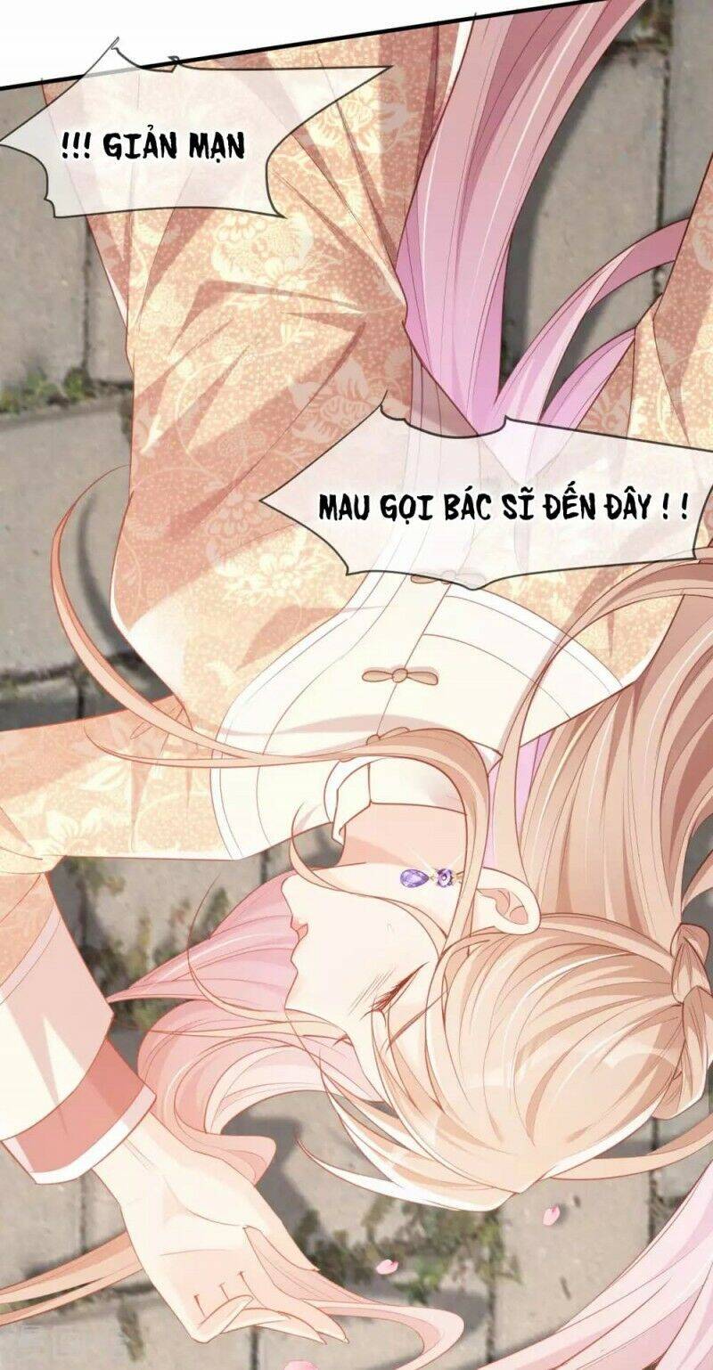 Lục Tổng, Vợ Ngài Lại Lên Top Tìm Kiếm Nữa Rồi! Chapter 5 - 24