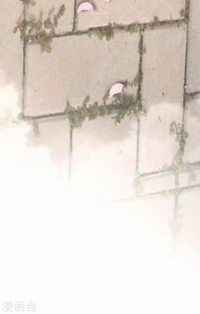 Lục Tổng, Vợ Ngài Lại Lên Top Tìm Kiếm Nữa Rồi! Chapter 5 - 26