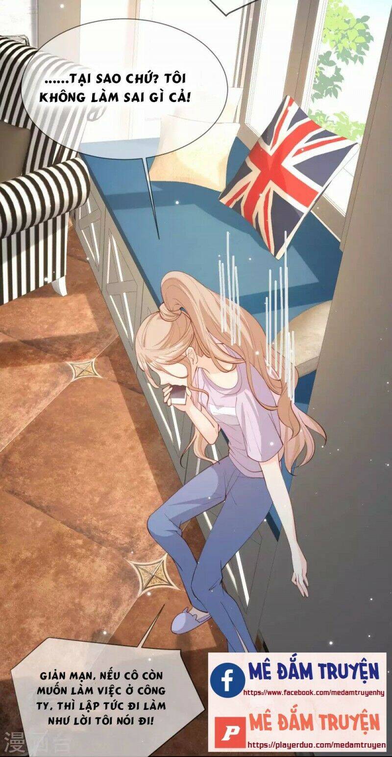 Lục Tổng, Vợ Ngài Lại Lên Top Tìm Kiếm Nữa Rồi! Chapter 11 - 15