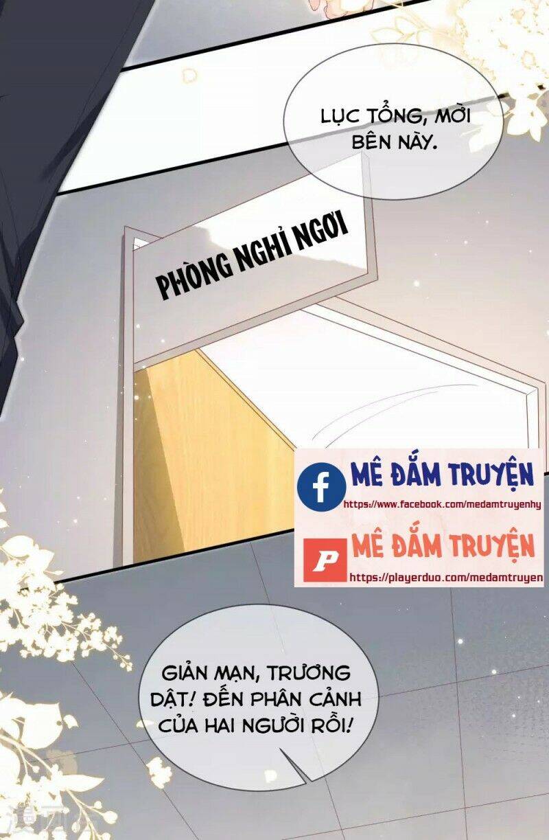 Lục Tổng, Vợ Ngài Lại Lên Top Tìm Kiếm Nữa Rồi! Chapter 11 - 21