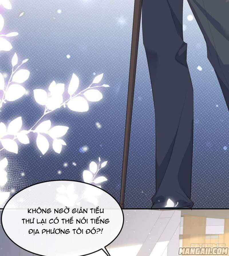 Lục Tổng, Vợ Ngài Lại Lên Top Tìm Kiếm Nữa Rồi! Chapter 43 - 4