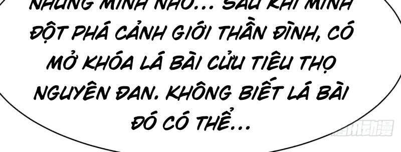 Đồ Đệ Của Ta Đều Là Nữ Ma Đầu Chapter 53 - 26