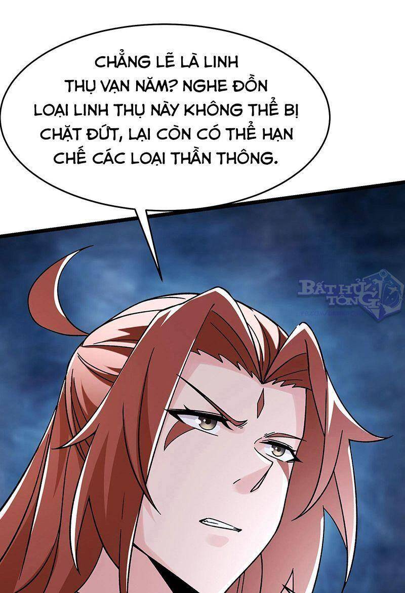Đồ Đệ Của Ta Đều Là Nữ Ma Đầu Chapter 81 - 11