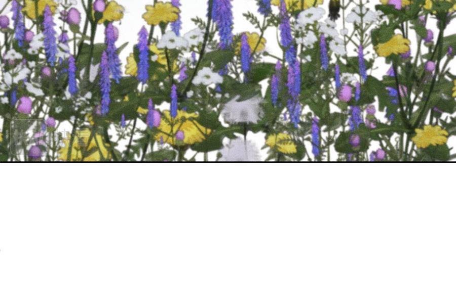 Quân Nhan Tựa Hoa Đào Chapter 36 - 34