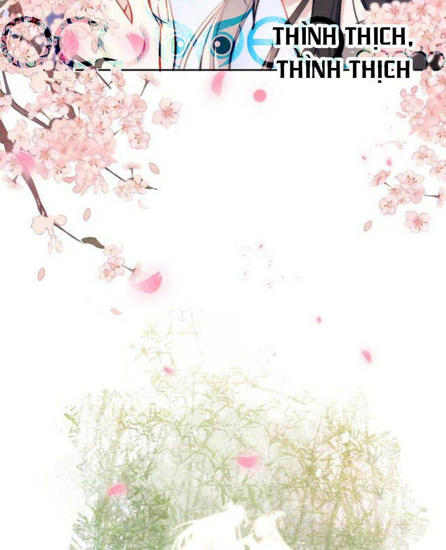 Quân Nhan Tựa Hoa Đào Chapter 8 - 39
