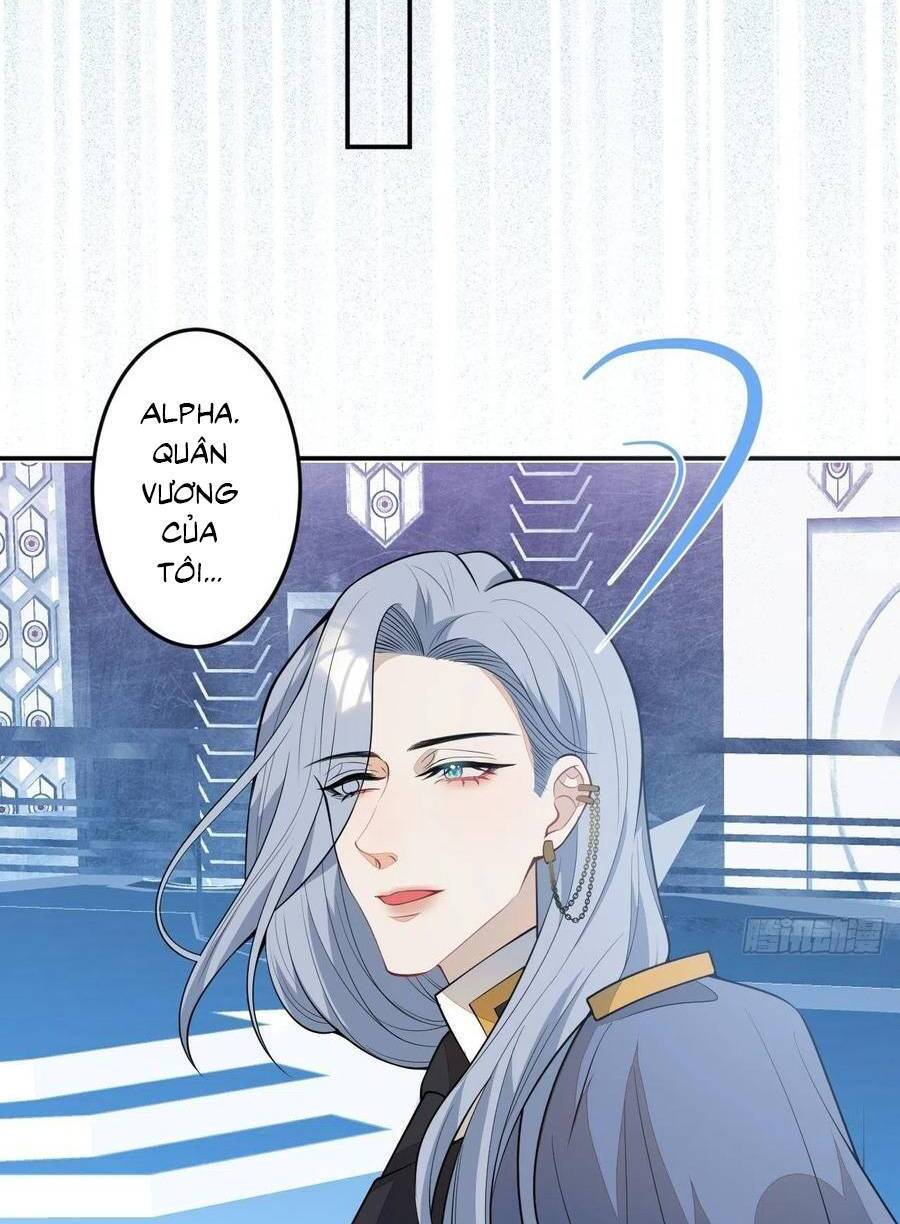 Xuyên Không Đến Thế Giới Trở Thành Đóa Hoa Của Anh Chapter 61 - 14