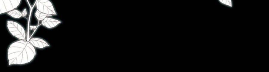 Xuyên Không Đến Thế Giới Trở Thành Đóa Hoa Của Anh Chapter 1 - 31