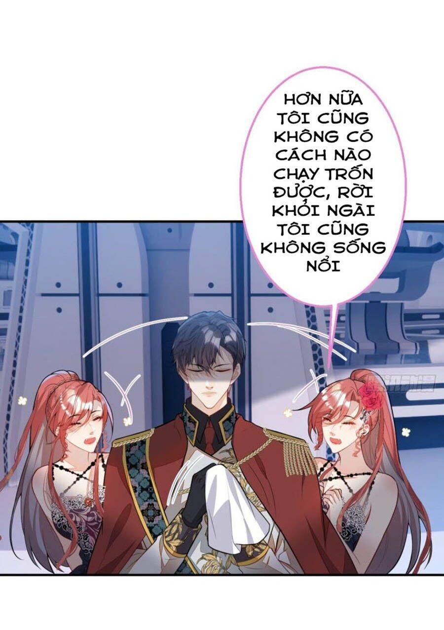Xuyên Không Đến Thế Giới Trở Thành Đóa Hoa Của Anh Chapter 10 - 16