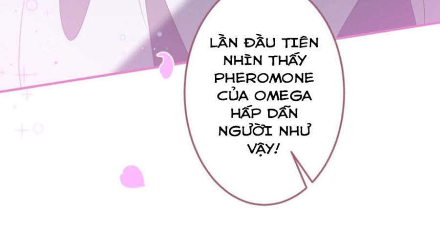 Xuyên Không Đến Thế Giới Trở Thành Đóa Hoa Của Anh Chapter 17 - 9