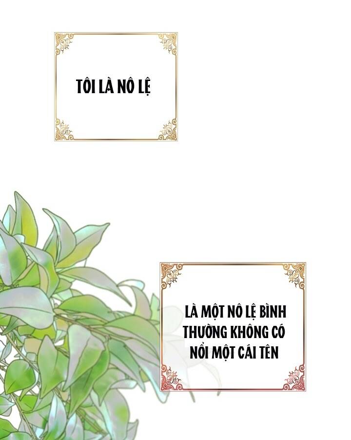 Ba Người Anh Trai Của Tôi Là Bạo Quân Chapter 1 - 2