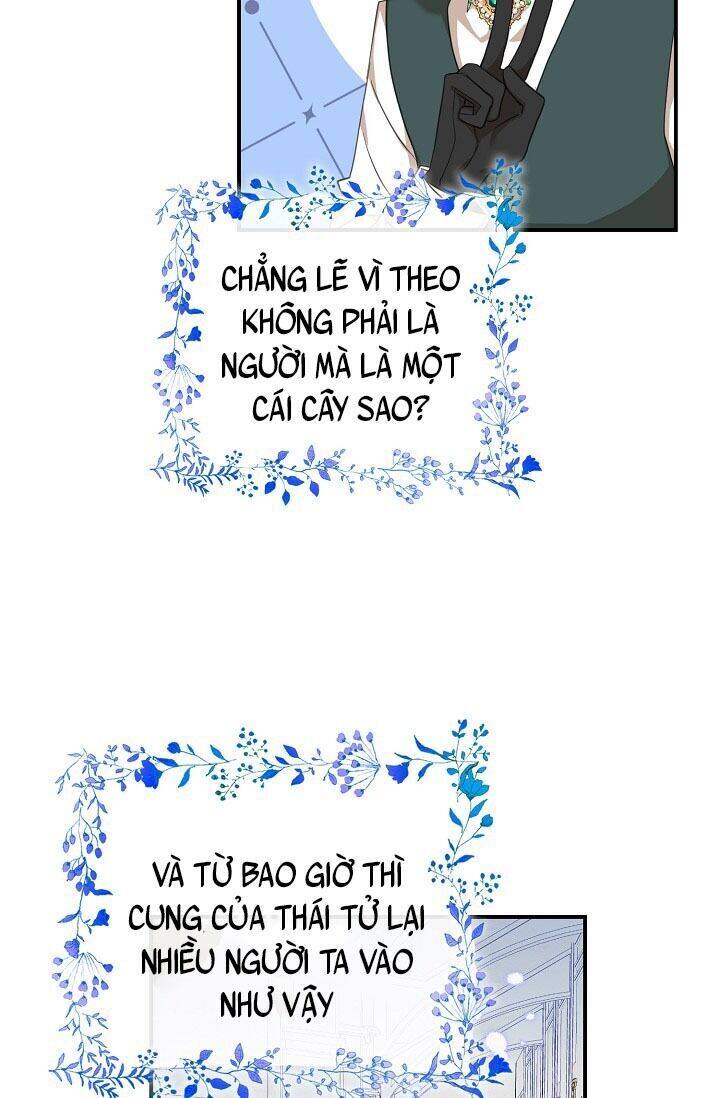 Ba Người Anh Trai Của Tôi Là Bạo Quân Chapter 27 - 24