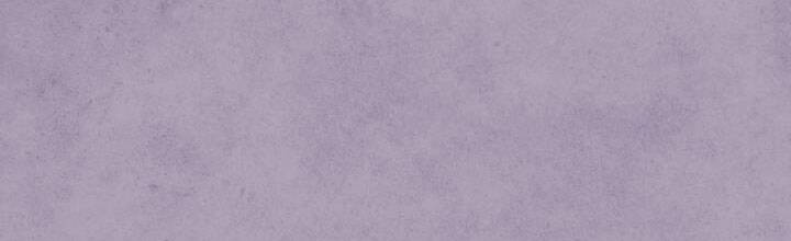 Tôi Đã Nuôi Dưỡng Bạn Thời Thơ Ấu Thành Bạo Chúa Chapter 63 - 188