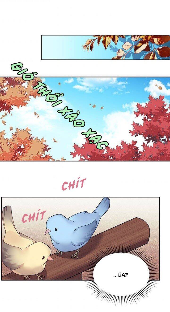 Công Chúa Của Loài Chim Chapter 1 - 46